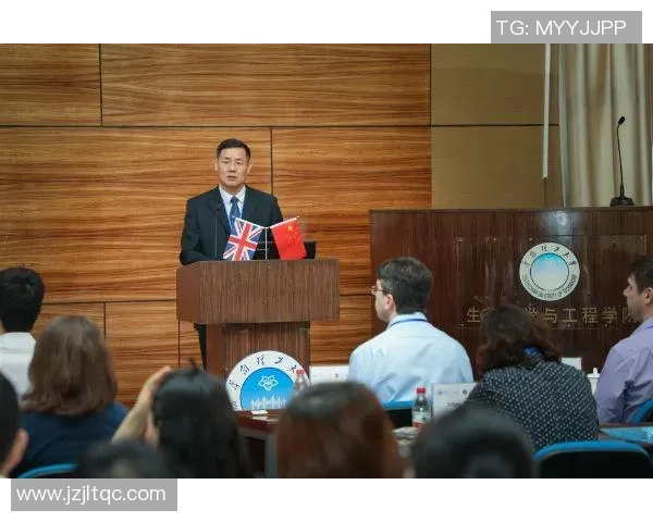 重庆飞盘队技术分析与战术创新的深度探讨与展望